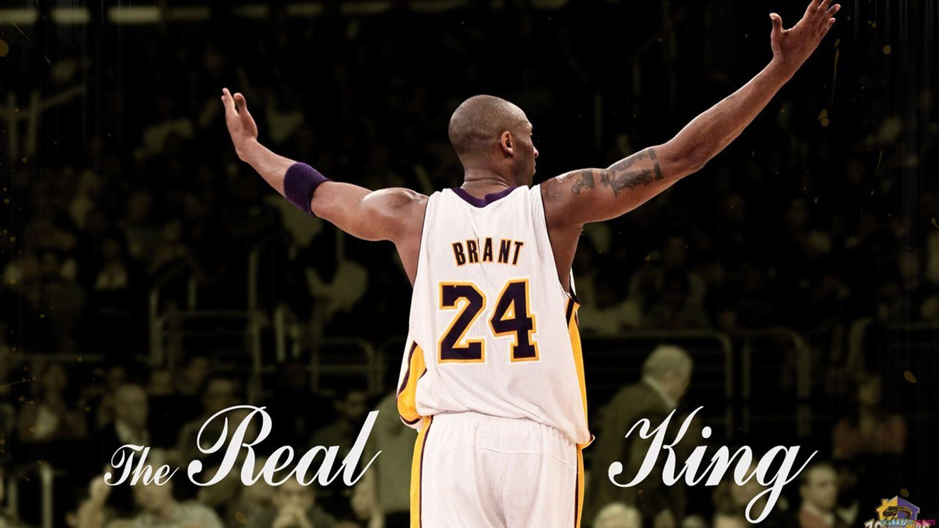 比赛现场气氛火爆回顾，比赛现场气氛活跃