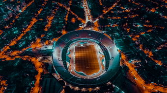 爱游戏体验-爱尔兰青训系统助力橄榄球未来腾飞，爱尔兰橄榄球联盟